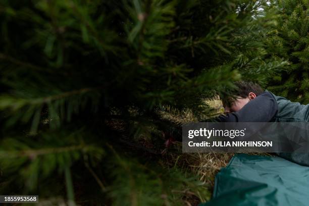 Boy cuts down a pine tree at Gaver Farm in Mount Airy, Maryland on December 17 eight days before Christmas.