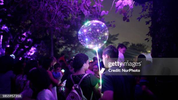 People are admiring the Ibirapuera Christmas tree in Sao Paulo, Brazil, on December 17, 2023. Standing at 57 meters tall, the symbol is located in...