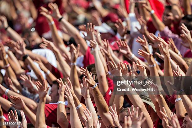 Happy Razorback Fans 81 Razorback Hogs Stock Photos, High-Res Pictures, and Images - Getty ...