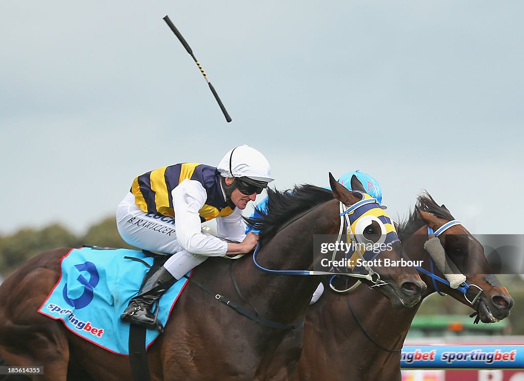 Geelong Cup Day