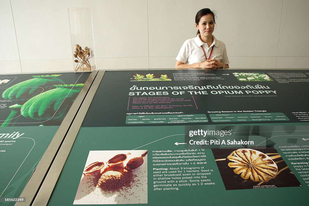 A narrator standing near an information board at the Hall of...