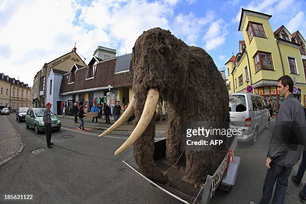 Pedestrians watch as a life-sized replica of a mammoth is pulled through the streets of Uherske Hradiste, southeastern Czech Republic on October 23,...
