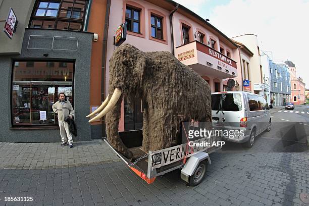 Pedestrians watch a life-sized replica of a mammoth pulled through the streets of Uherske Hradiste, southeastern Czech Republic on October 23, 2013...