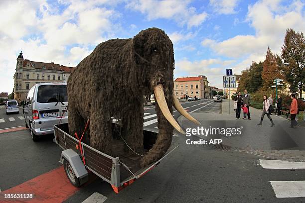 Pedestrians watch a life-sized replica of a mammoth being pulled through the streets of Uherske Hradiste, southeastern Czech Republic on October 23,...