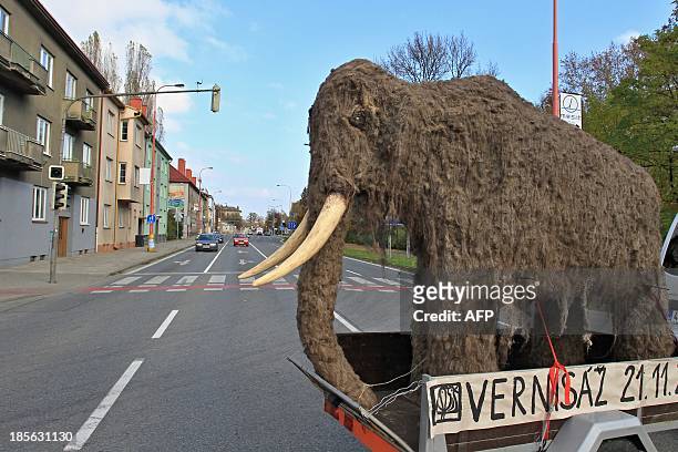 Life-sized replica of a mammoth is pulled through the streets of Uherske Hradiste, southeastern Czech Republic on October 23, 2013 as it is moved to...