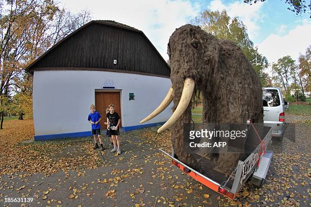 Boys watch a life-sized replica of a mammoth being pulled through a park in Uherske Hradiste, southeastern Czech Republic on October 23, 2013 as it...