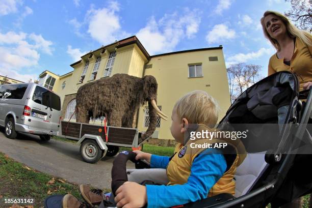 Baby in a stroller watches a life-sized replica of a mammoth being pulled through the streets of Uherske Hradiste, southeastern Czech Republic on...