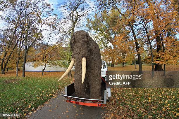 Life-sized replica of a mammoth is pulled through a park of Uherske Hradiste, southeastern Czech Republic on October 23, 2013 as it is moved to the...