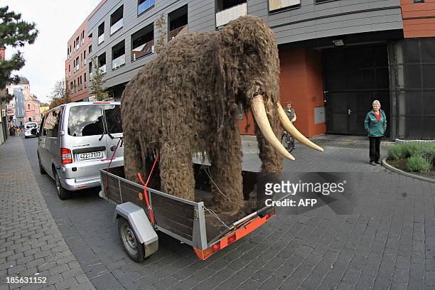 Pedestrians watch a life-sized replica of a mammoth as it is pulled through the streets of Uherske Hradiste, southeastern Czech Republic on October...