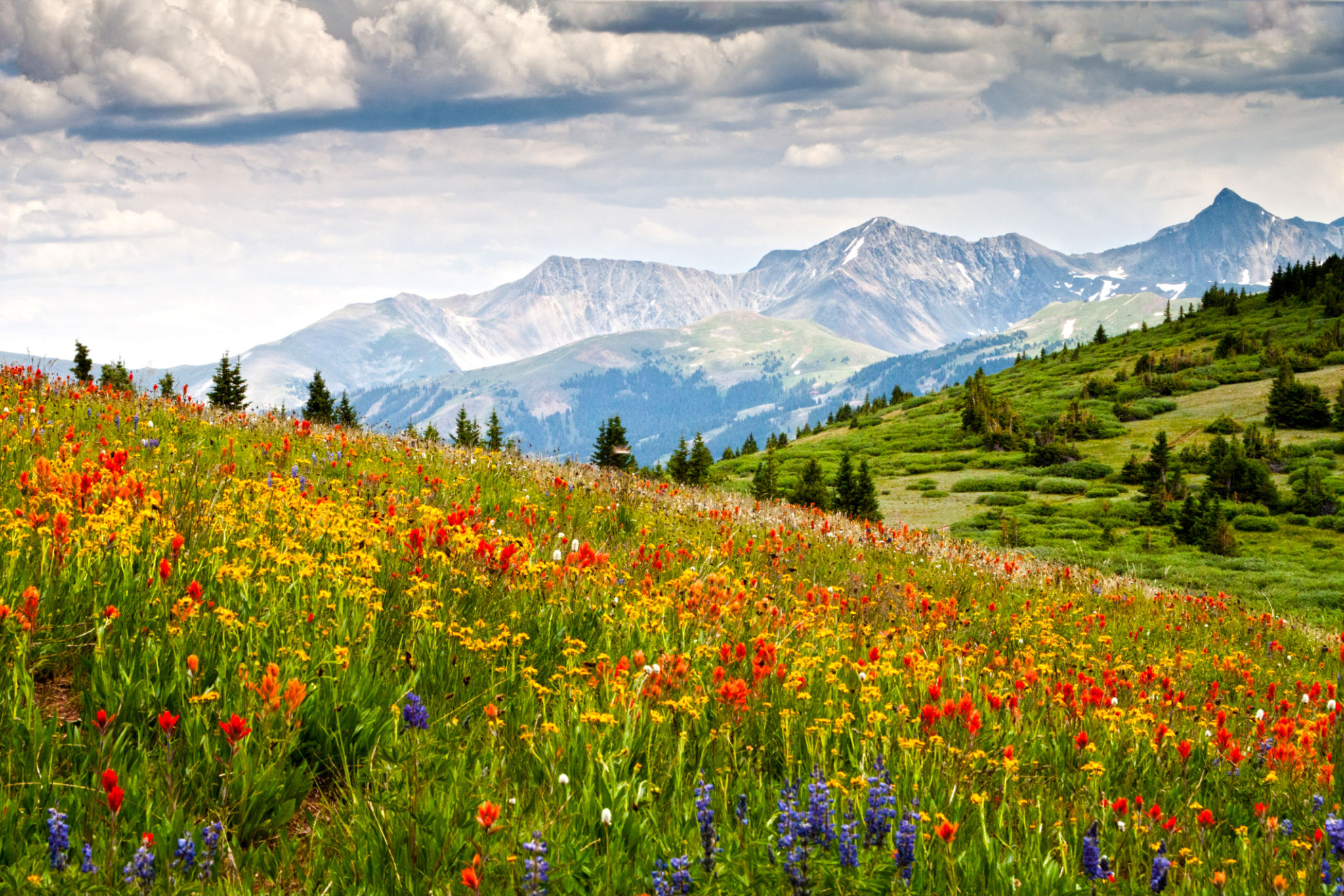 seasonal landscape