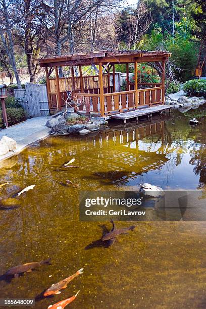 hakone japanese gardens, saratoga, california - hakone gardens saratoga stock pictures, royalty-free photos & images