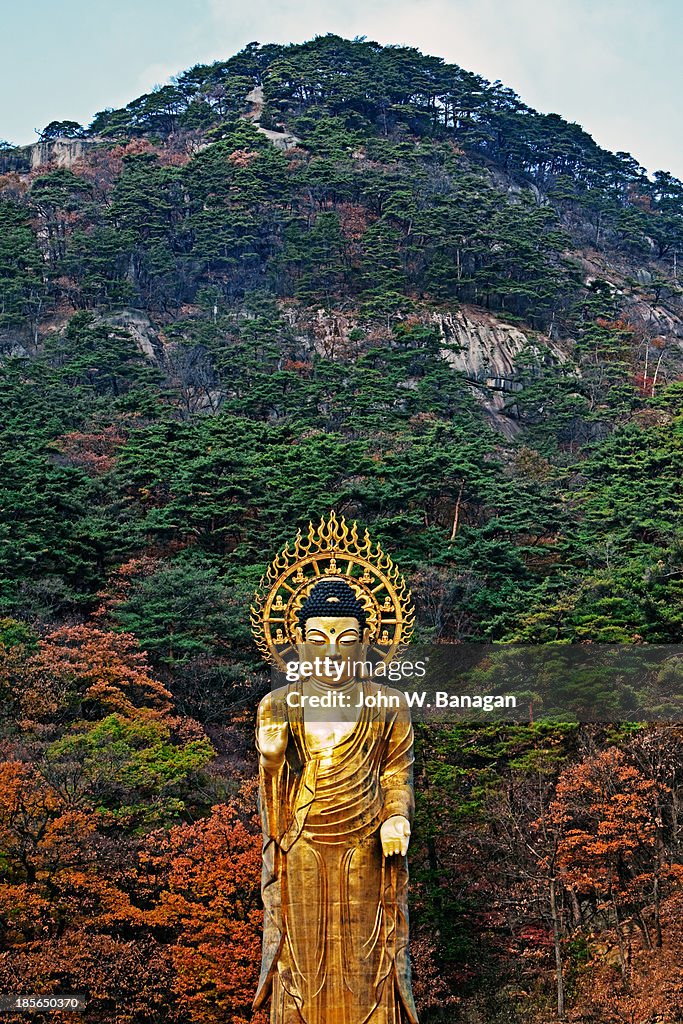 Golden  Buddha, autumn, Beopjusa