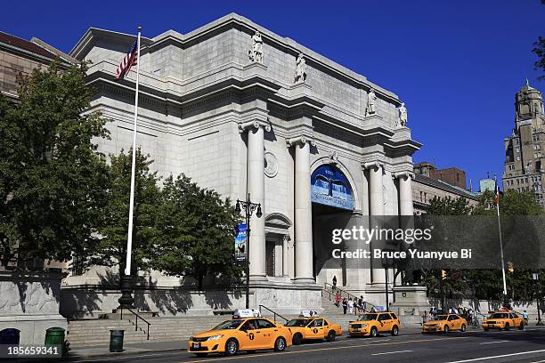 american museum of natural history - natural history museum stock pictures, royalty-free photos & images