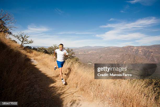 running at el cuajo, jalisco, mexico. - guadalajara mexico stock-fotos und bilder