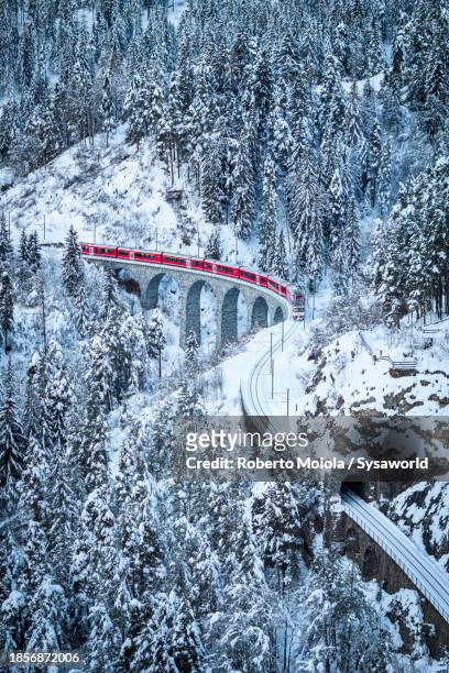 train traveling across snowy mountain woods - railway bridge stock-fotos und bilder