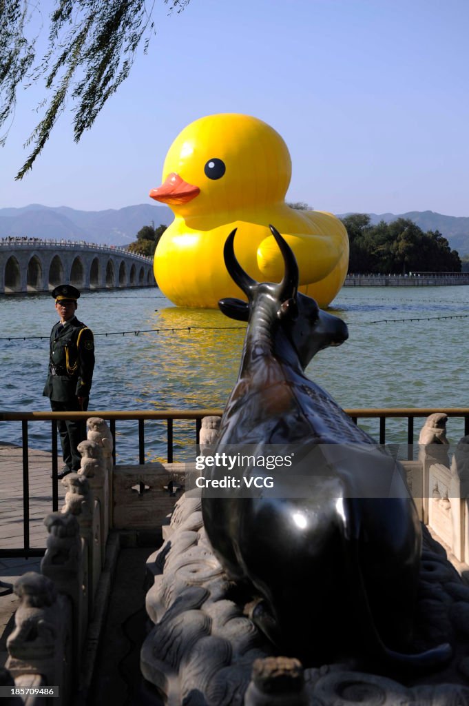 Beijing Bids Farewell To Rubber Duck