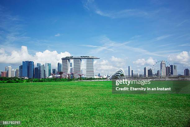 singapore skyline and gardens by the bay - marina bay sands imagens e fotografias de stock