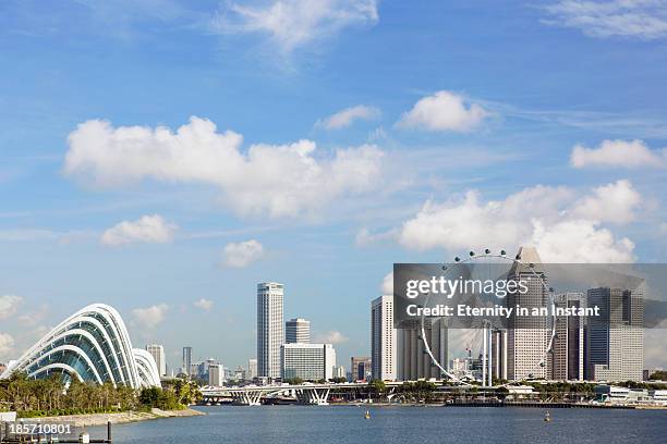singapore city skyline with flyer - singapore flyer stockfoto's en -beelden