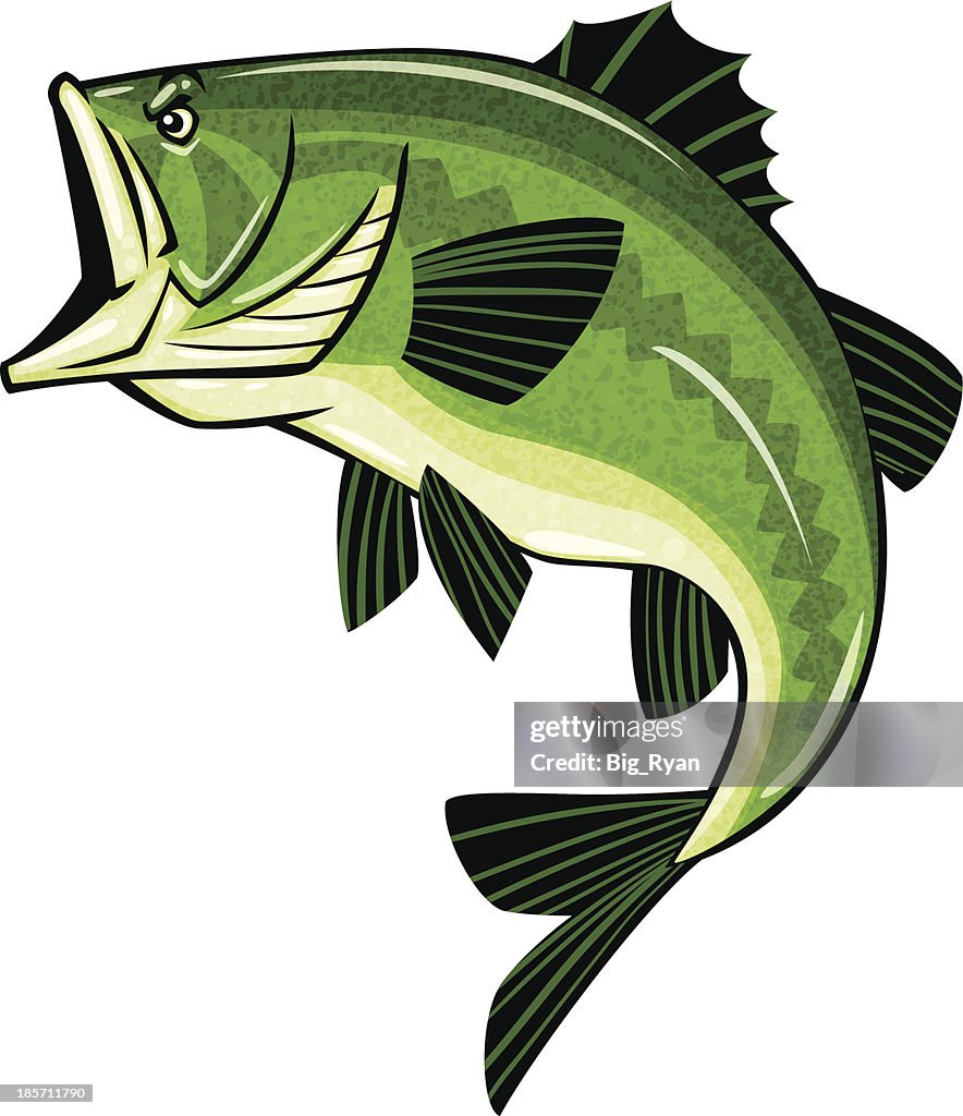 Bass logo