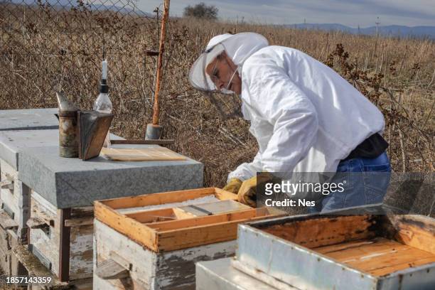 a beekeeper in an apiary, varroa treatment of bees - oxalic acid stock pictures, royalty-free photos & images