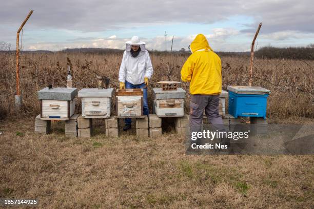 beekeepers in the apiary, doing bee control - oxalic acid stock pictures, royalty-free photos & images