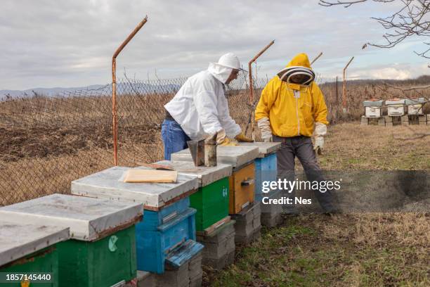 beekeepers in the apiary, doing bee control - oxalic acid stock pictures, royalty-free photos & images