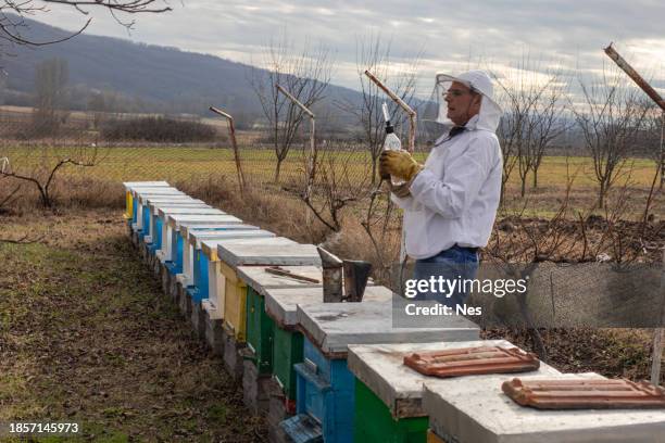 a beekeeper in an apiary, varroa treatment of bees - oxalic acid stock pictures, royalty-free photos & images