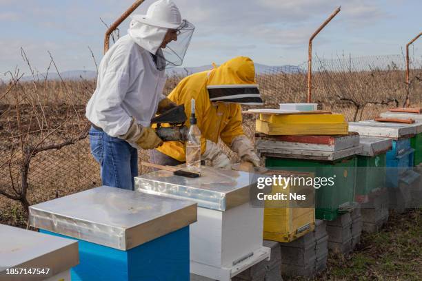 beekeepers in the apiary, doing bee control - oxalic acid stock pictures, royalty-free photos & images