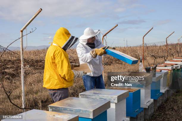 beekeepers in the apiary, doing bee control - oxalic acid stock pictures, royalty-free photos & images