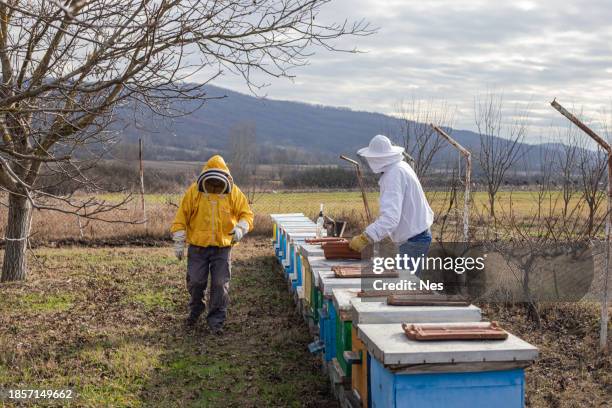 beekeepers in the apiary, doing bee control - oxalic acid stock pictures, royalty-free photos & images