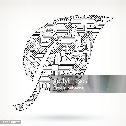 Leaf on Circuit Board Leaf on Circuit Board