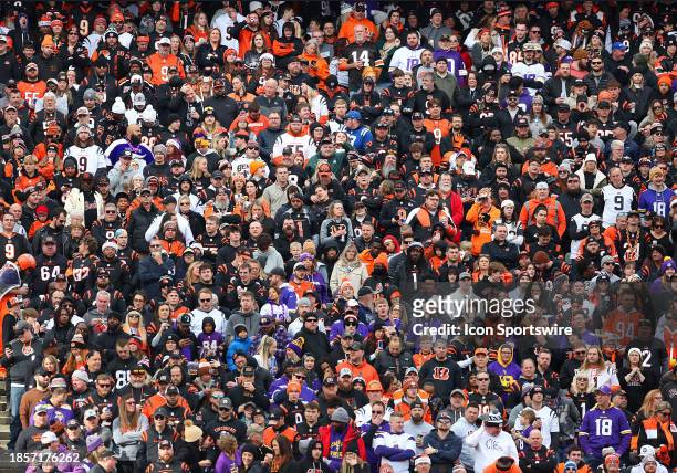 Fans in the crowd during a game between the Minnesota Vikings and the Cincinnati Bengals at Paycor Stadium on Saturday, December 2023.