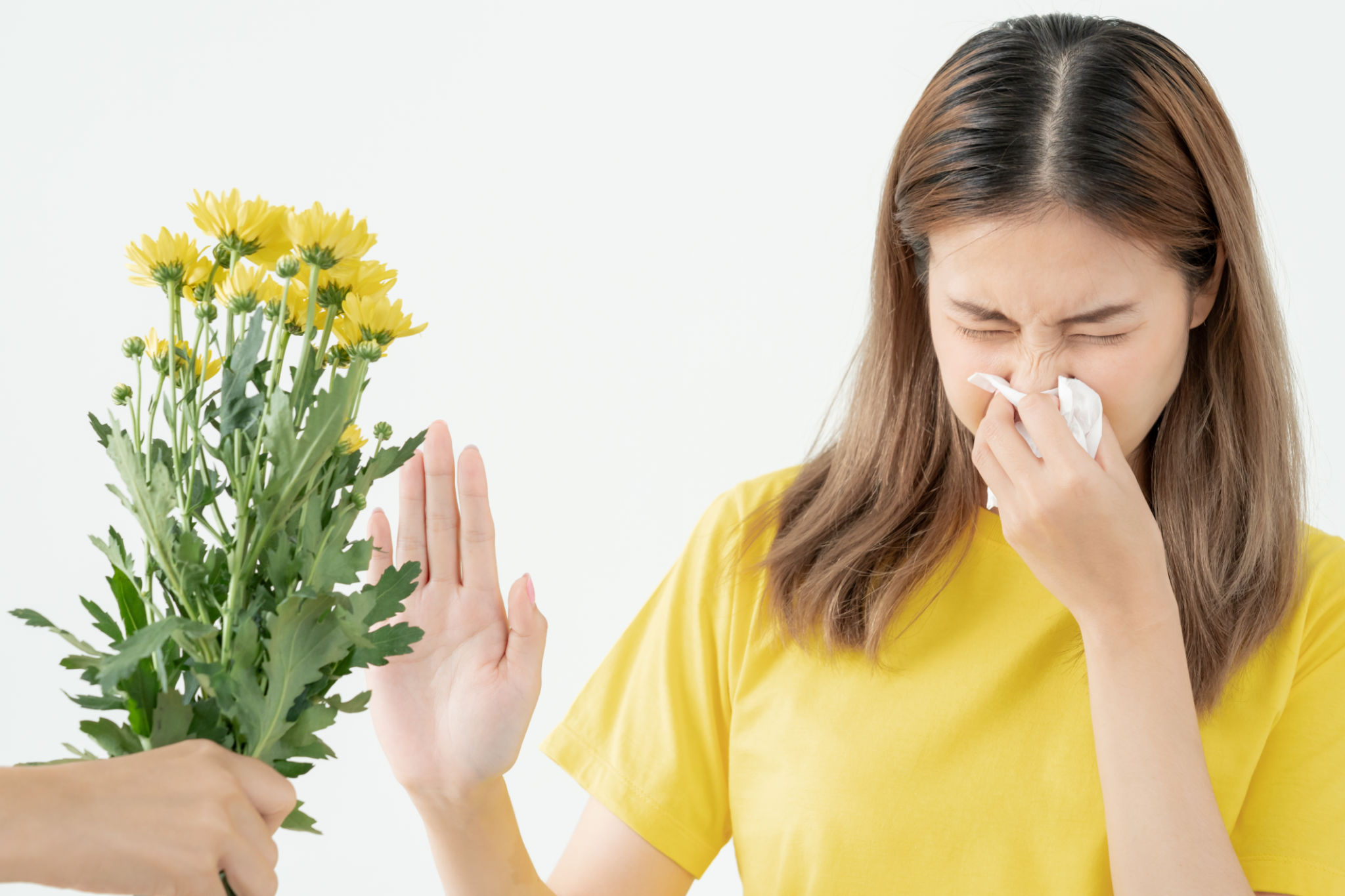Pollen Allergies, asian young woman sneezing in a handkerchief or blowing in a wipe, allergic to wild spring flowers or blossoms during spring. allergic reaction, respiratory system problems Pollen Allergies, asian young woman sneezing in a handkerchief or blowing in a wipe, allergic to wild spring flowers or blossoms during spring. allergic reaction, respiratory system problems