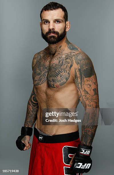 Alessio Sakara poses for a portrait during a UFC photo session on October 24, 2013 in Manchester, England.