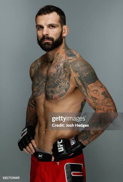 Alessio Sakara poses for a portrait during a UFC photo session on October 24, 2013 in Manchester, England.