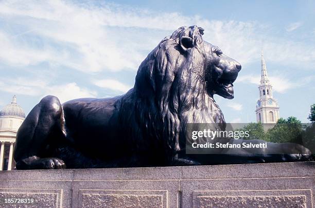 132 Stefano Felis Stock Photos, HighRes Pictures, and Images Getty