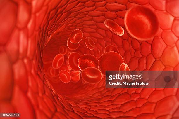 blood cells travelling in to vein vessel - 人間の血液点のイラスト素材／クリップアート素材／マンガ素材／アイコン素材