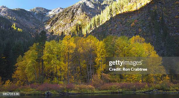 fall foilage, tumwater canyon - tumwater stock pictures, royalty-free photos & images