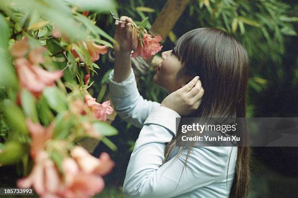 in butchart gardens - butchart gardens canada stock-fotos und bilder