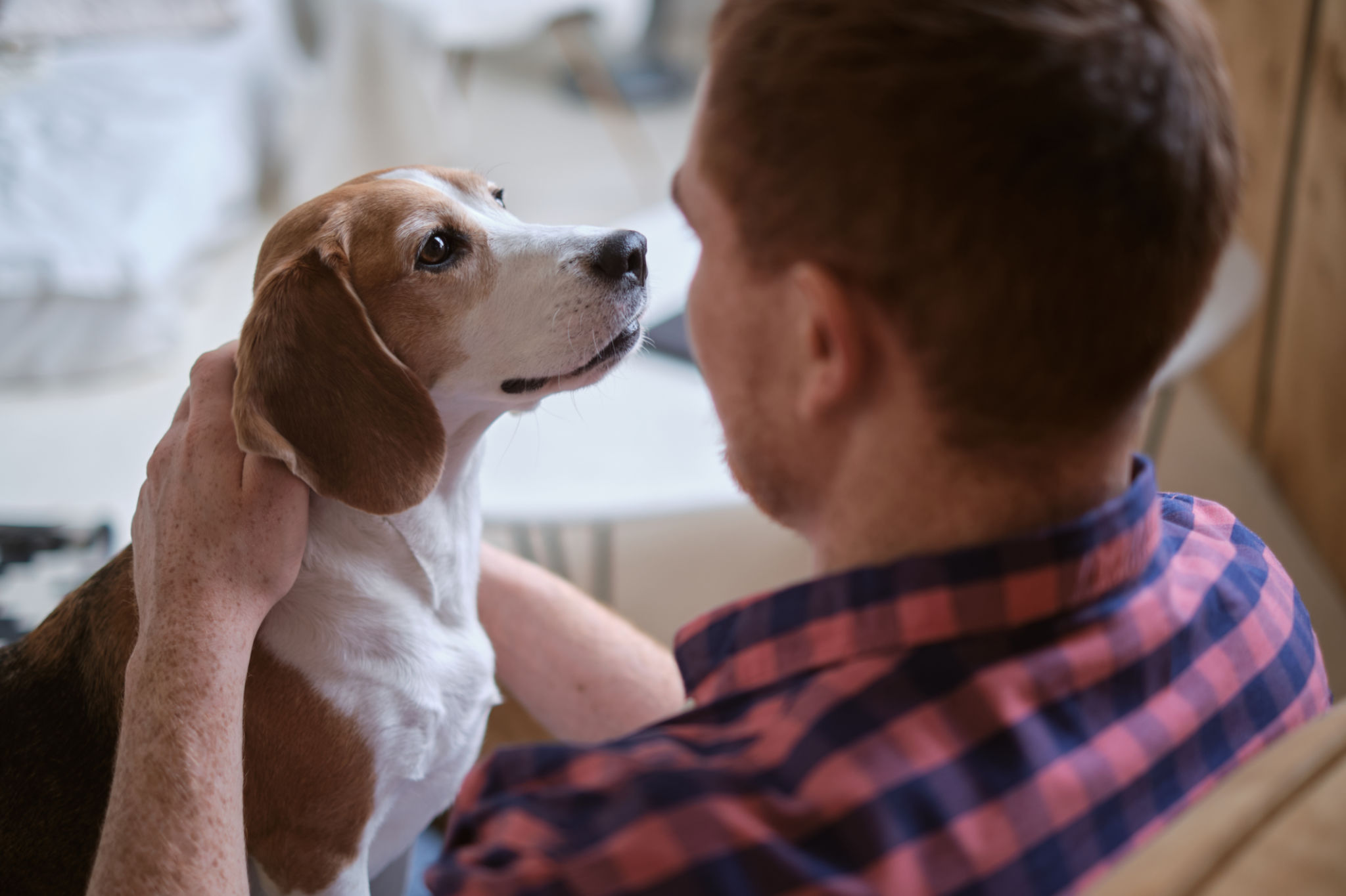dog owner support