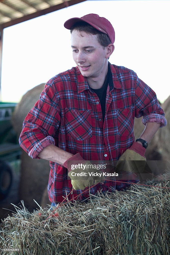 Young farmer lifting straw bale