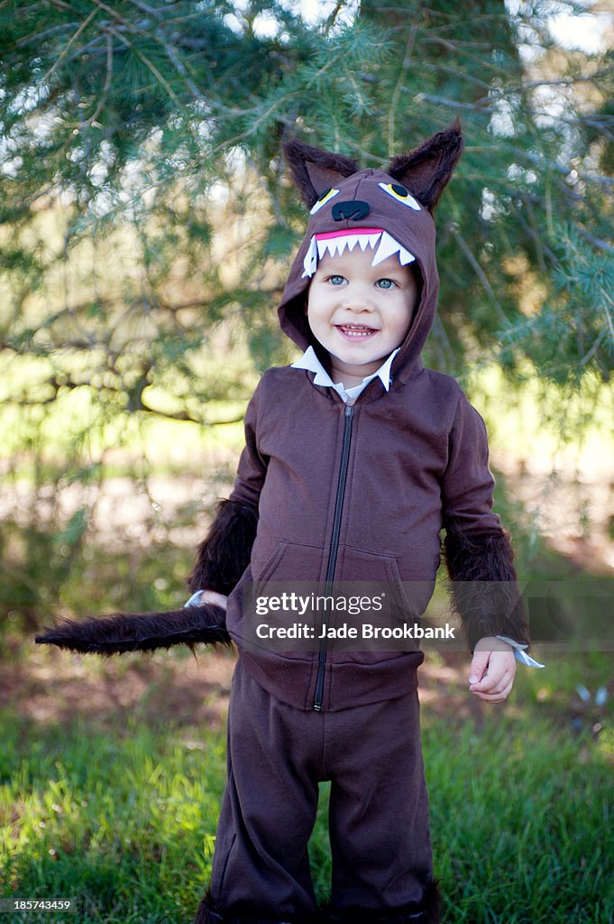 Male toddler in woods dressed up in wolf costume