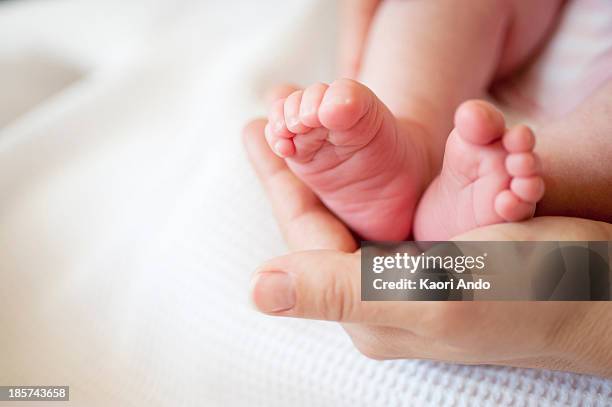 mid adult woman holding baby girl's feet,  close up - human foot stock pictures, royalty-free photos & images