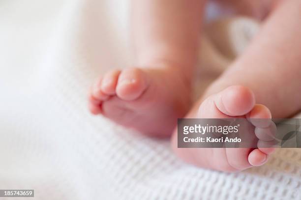 baby girl's barefeet,  close up - baby feet stock pictures, royalty-free photos & images