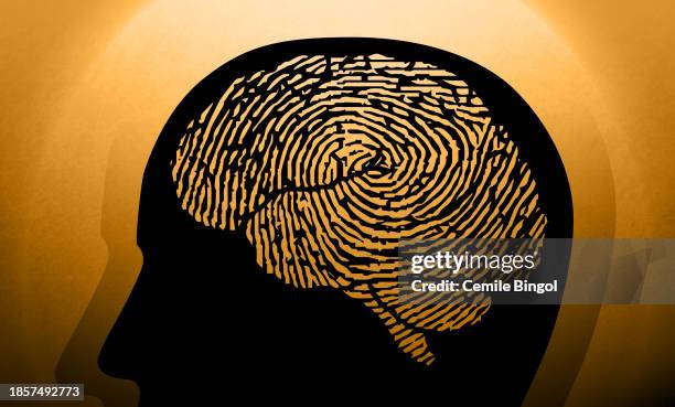 brain fingerprinting - forensic psychology stock illustrations