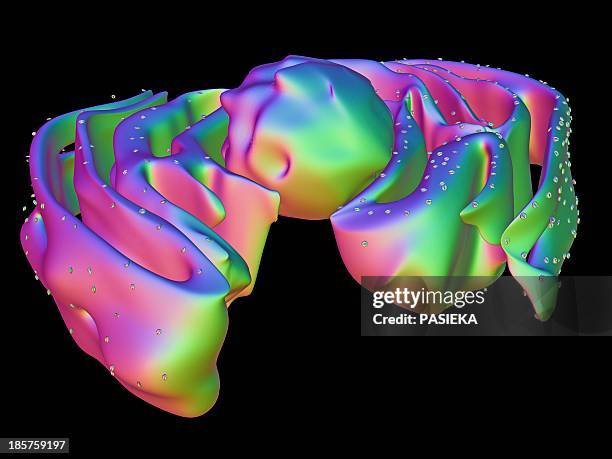 nucleus and endoplasmic reticulum - rough endoplasmic reticulum stock illustrations