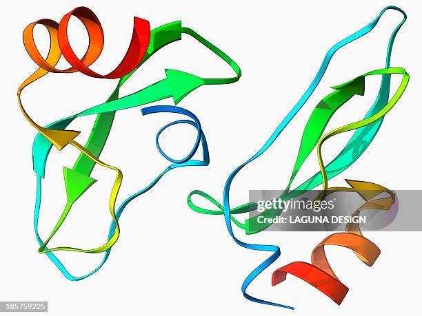 amyloid precursor protein molecule - beta amyloid stock illustrations