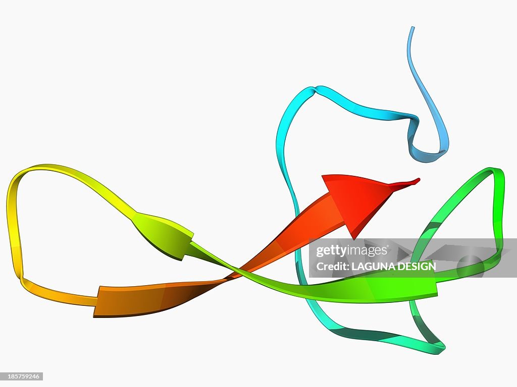 Funnel-web spider toxin molecule