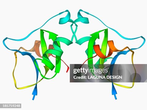 Scorpion toxin molecule Scorpion toxin molecule