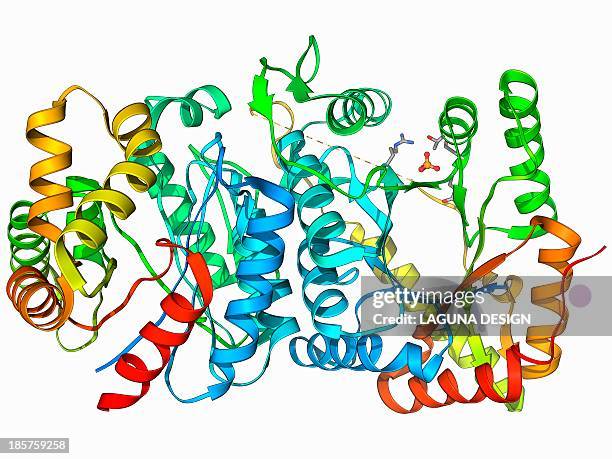 bioluminescent enzyme molecule - bioluminescence stock illustrations